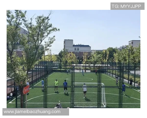 巧妙设计自制足球收纳方案让你的运动空间整洁有序